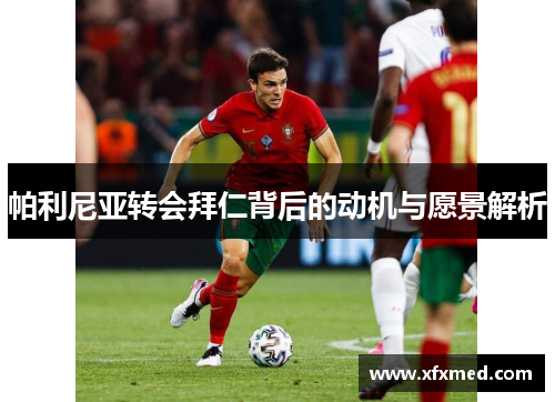 帕利尼亚转会拜仁背后的动机与愿景解析