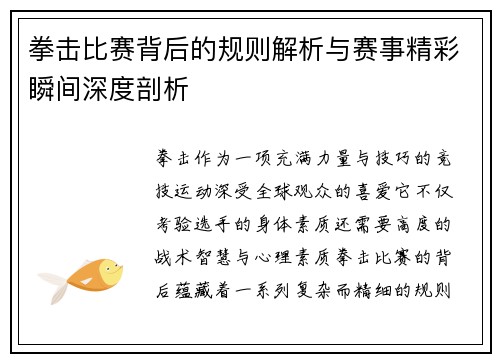 拳击比赛背后的规则解析与赛事精彩瞬间深度剖析