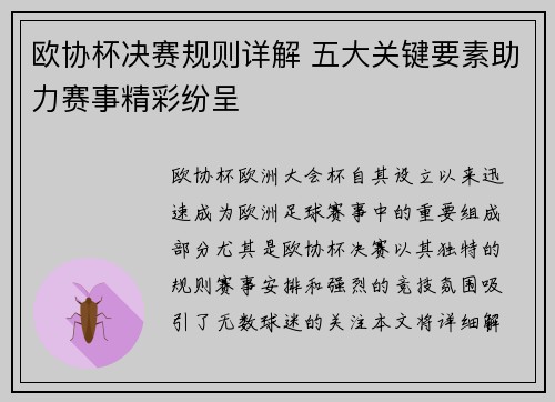 欧协杯决赛规则详解 五大关键要素助力赛事精彩纷呈